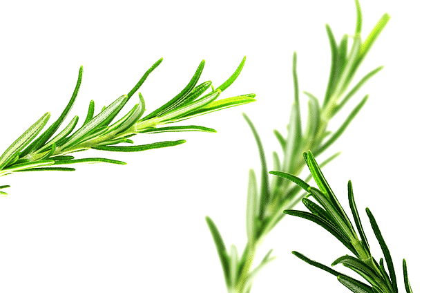 rosemary