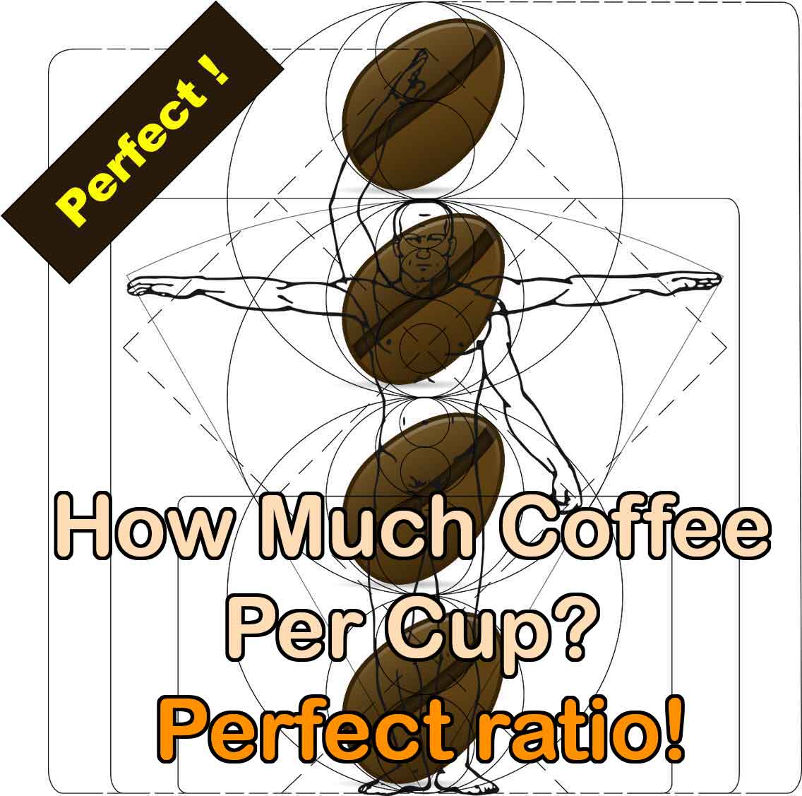 Perfect coffee Ratio