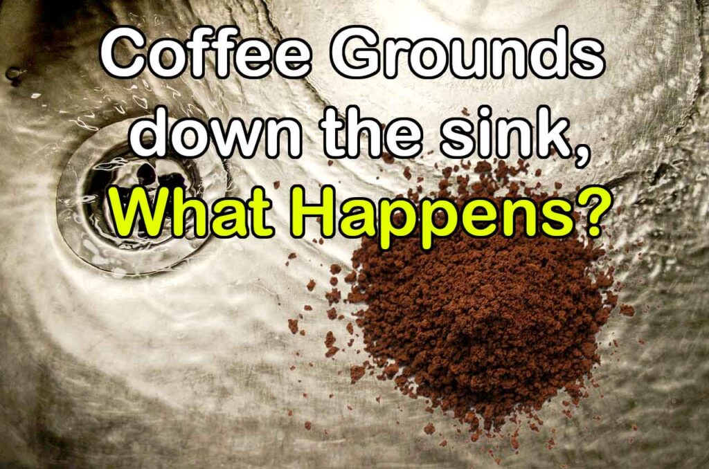 coffee grounds down the sink